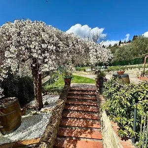 https://agriturismo-tassinaia.it-tuscanyhotel.com